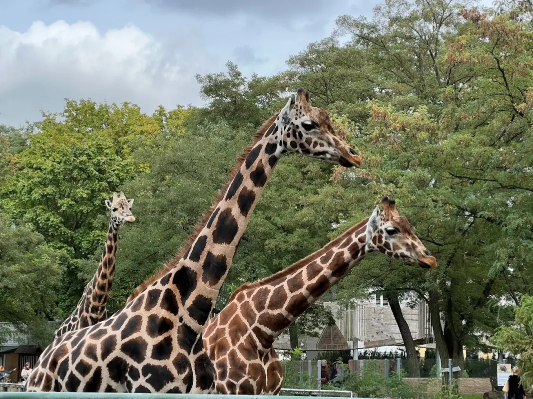 Orientarium ZOO Łódź